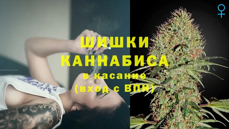 Канабис White Widow  дарк нет какой сайт  Гаврилов Посад 